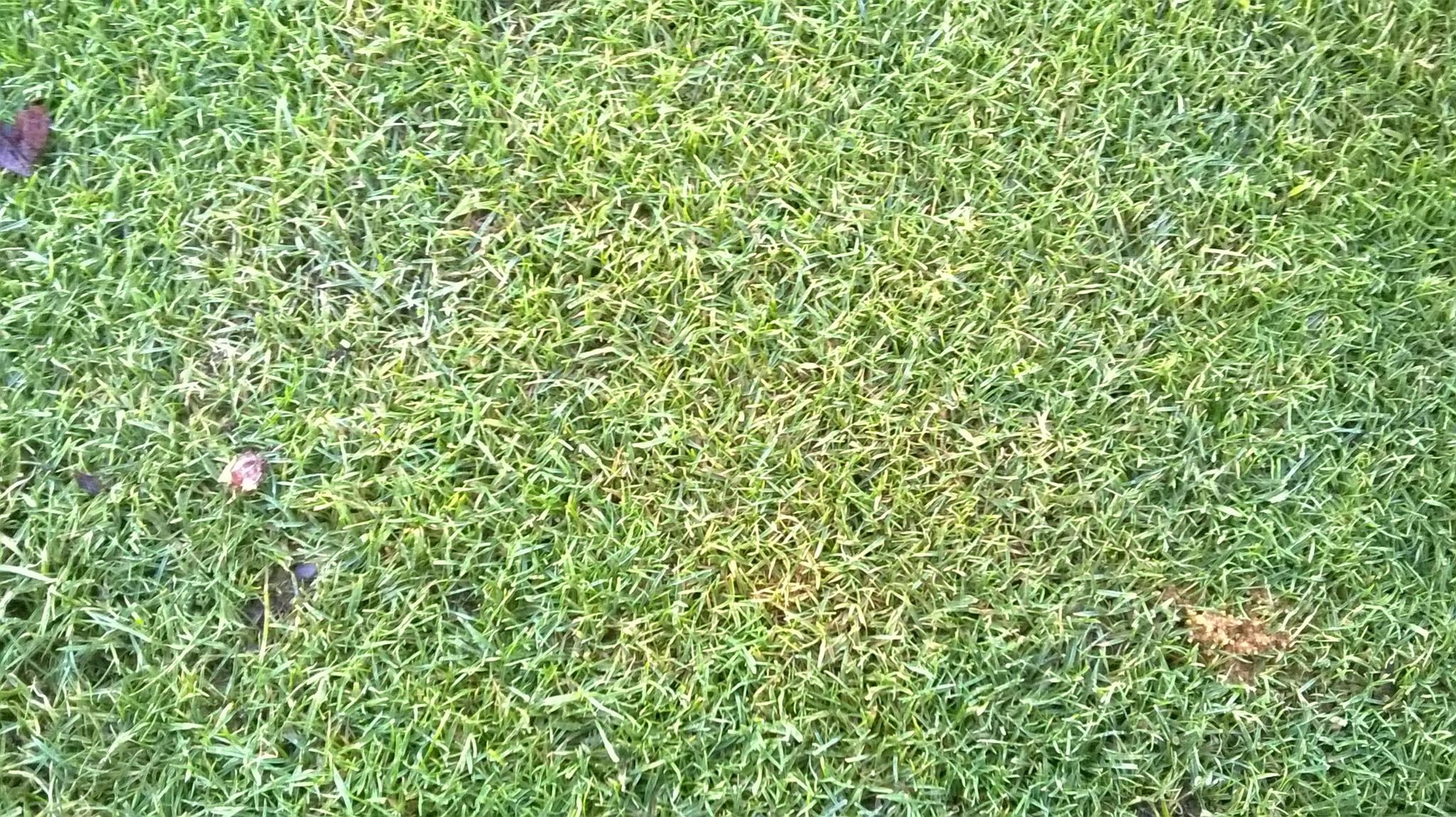 16300529_1385272664838000_5072014532390563839_o.jpg