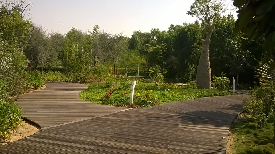 18.jpg
