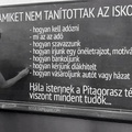 Azok a hülye tanarak