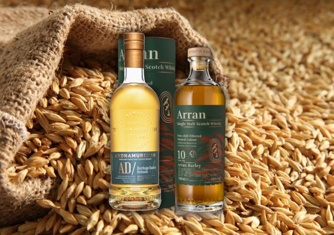 192. Árpaünnep: Heritage barley vs. Local barley