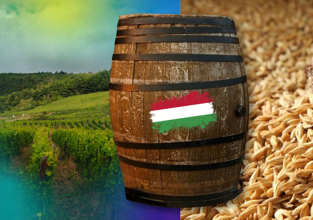 magyar_boros_erlelesek_finishek2.jpg