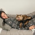 Miért engedjük fel cicánkat az ágyba
