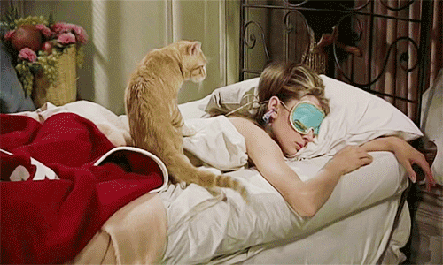audrey_as_holly_with_cat_2.gif