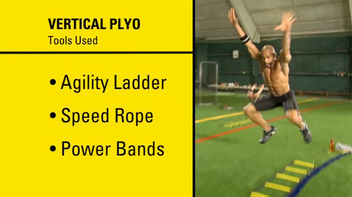 Insanity-Asylum-Vertical-Plyo.jpg