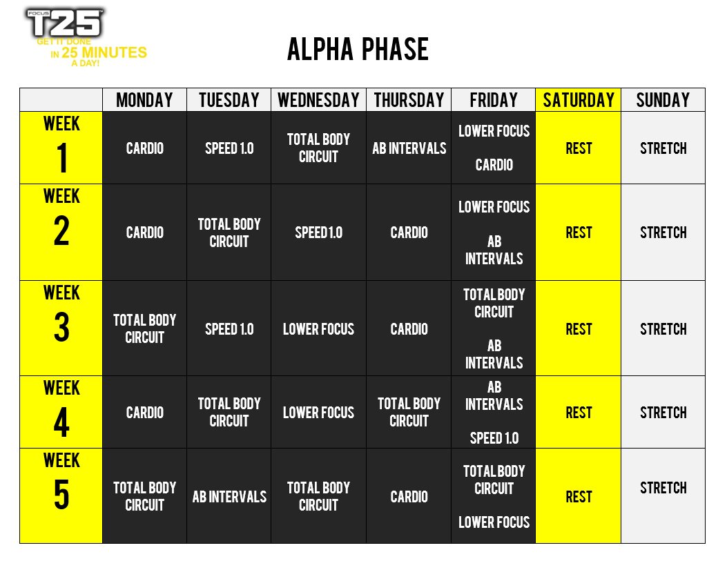 focus_t25_alpha_schedule.png
