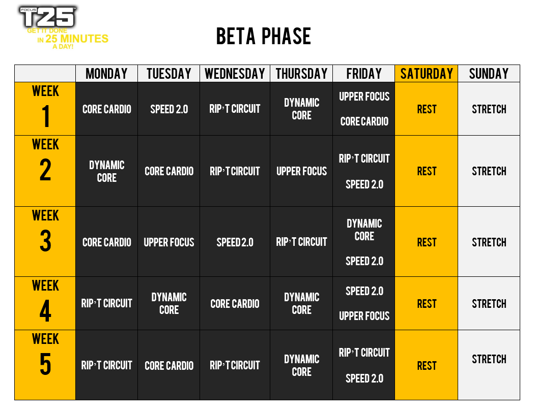 focus_t25_beta_schedule.png