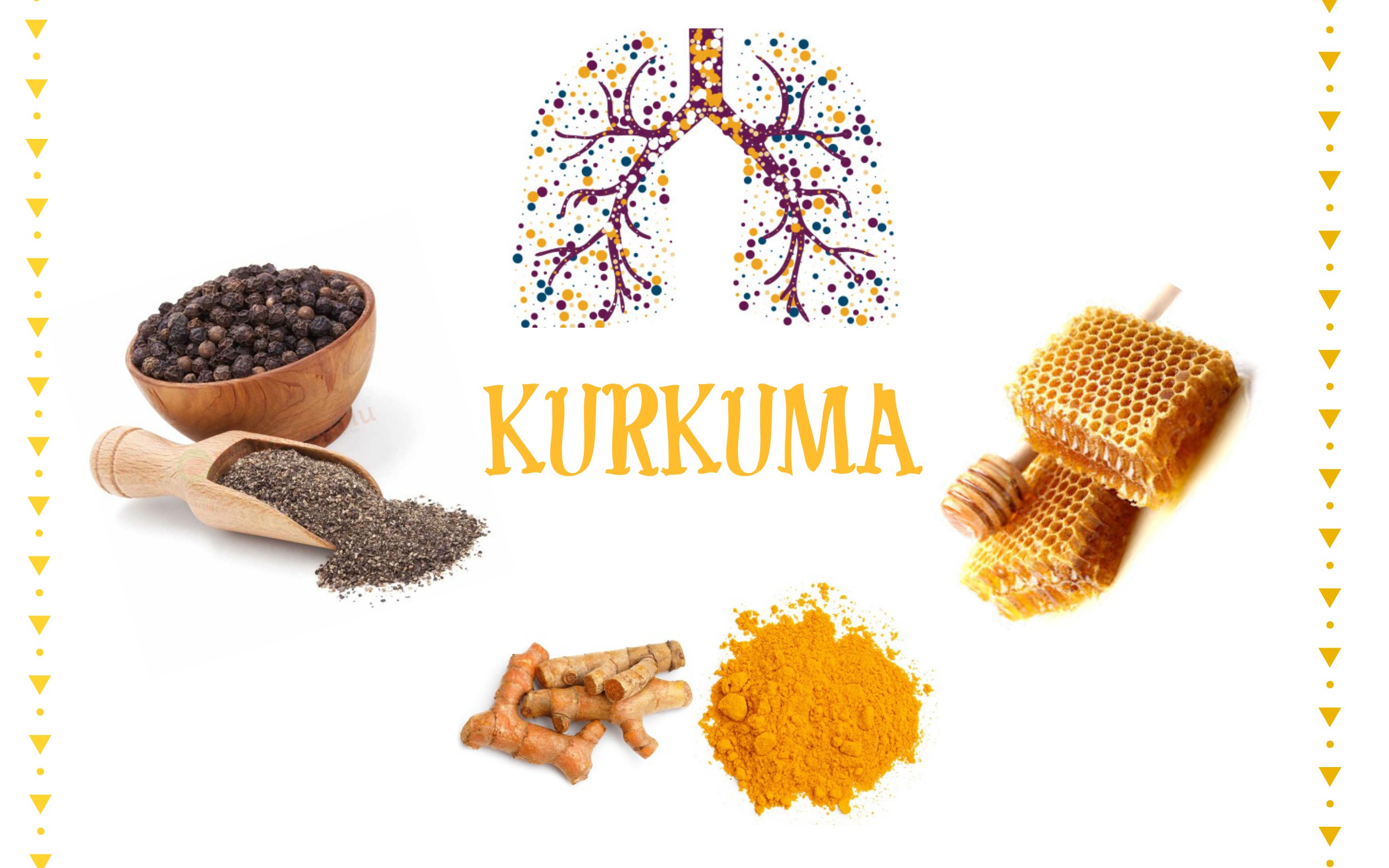 kurkuma_kohog.jpg