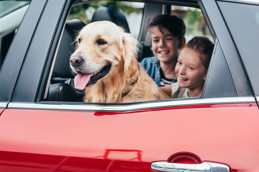 kutya-az-autoban-gyerekekkel.jpg