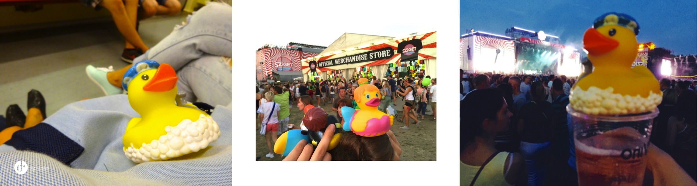 drkuktart_sziget2015_08.jpg