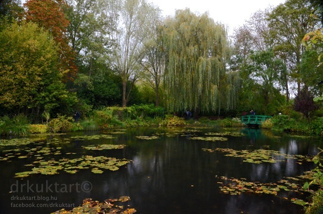 drkuktartgivernyclaudemonetgardenwaterlily27.jpg