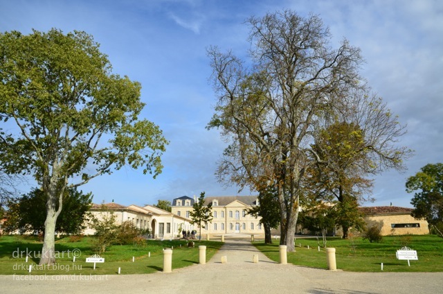 drkuktartsaintemilionchateausoutardlarose01.jpg