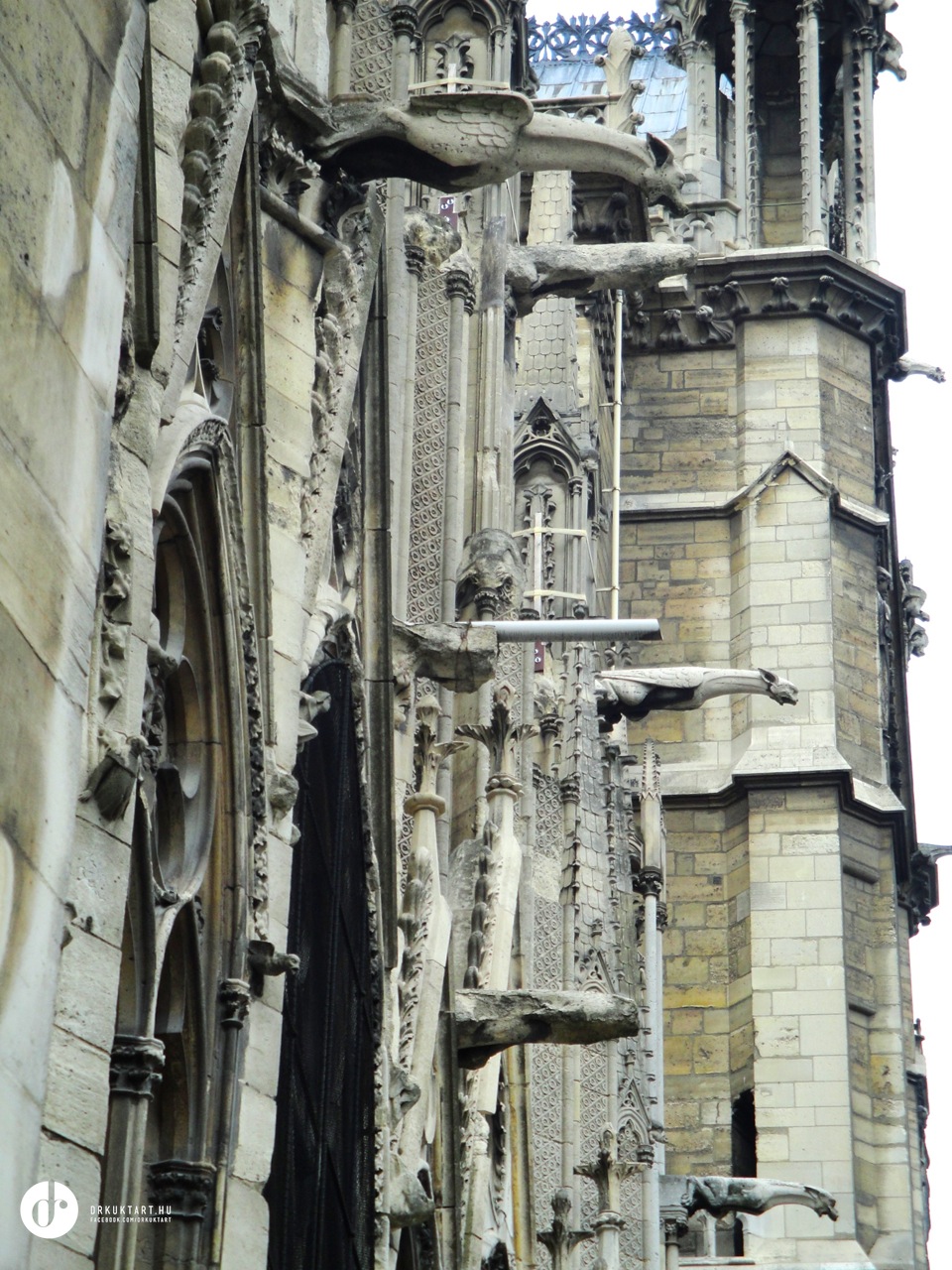 drkuktart_notredame_paris09ii.jpg