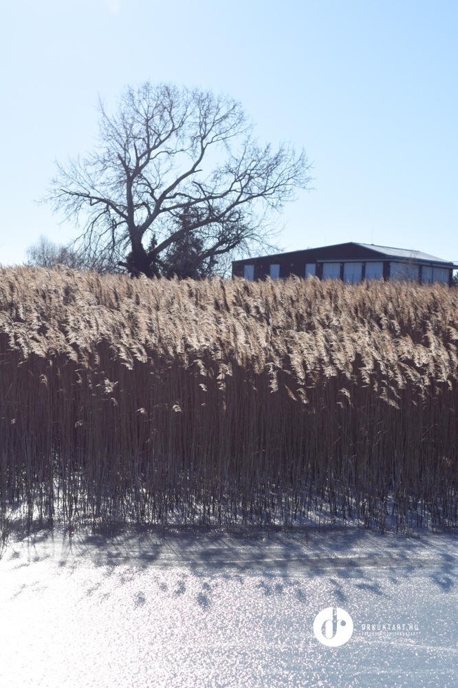 drkuktart_balaton2017januar19siofok.jpg