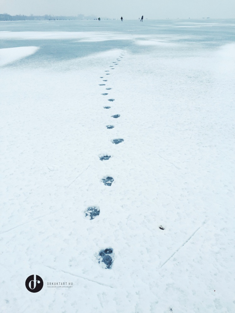 drkuktart_balatonsiofokfrozen201701_02.jpg