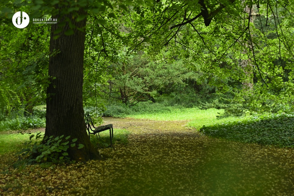 drkuktarterdotelkiarboretumbutlerkastely13.jpg