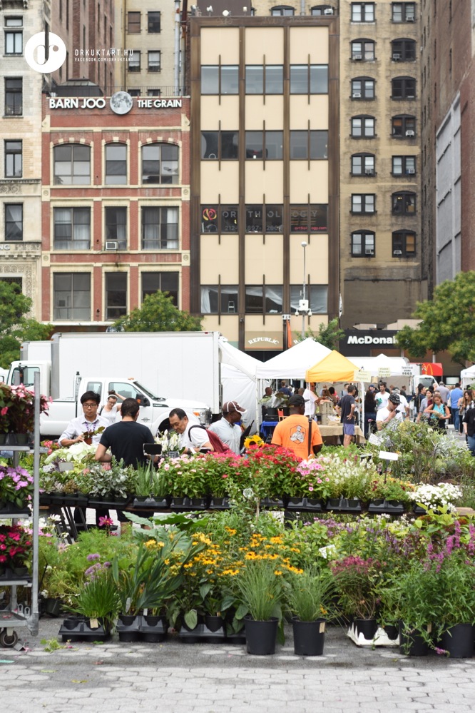 drkuktartnewyorkunionsquaregreenmarket08.jpg