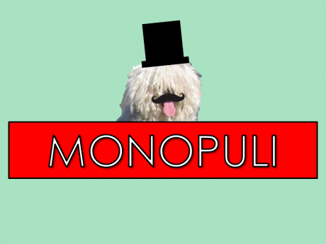 monopuli.png
