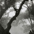 Edouard Boubat