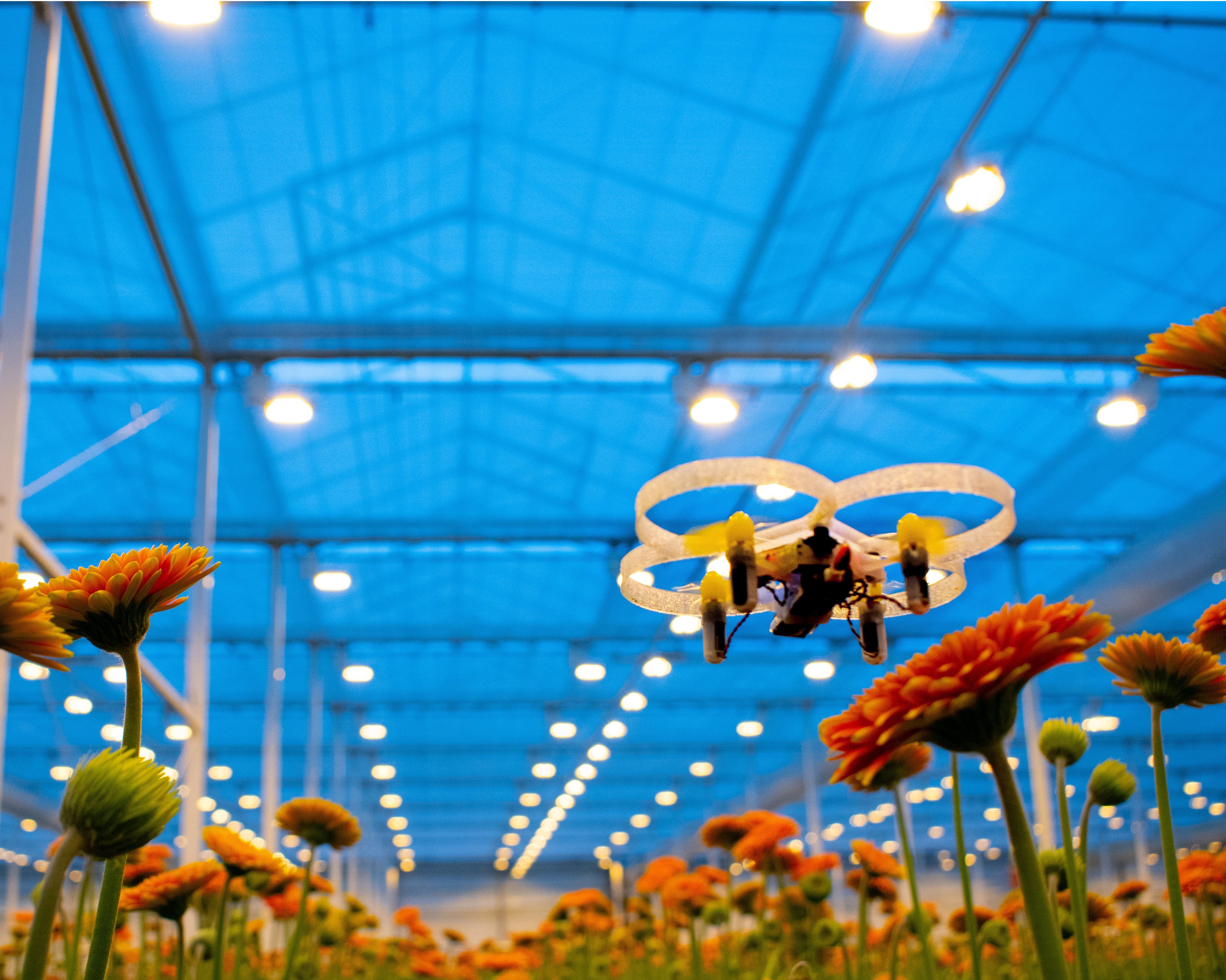 _-2019-pats-indoor-drone-solutions-drone-gerbera-1-2-min.jpg