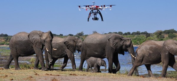 elefant_drone_2.jpg