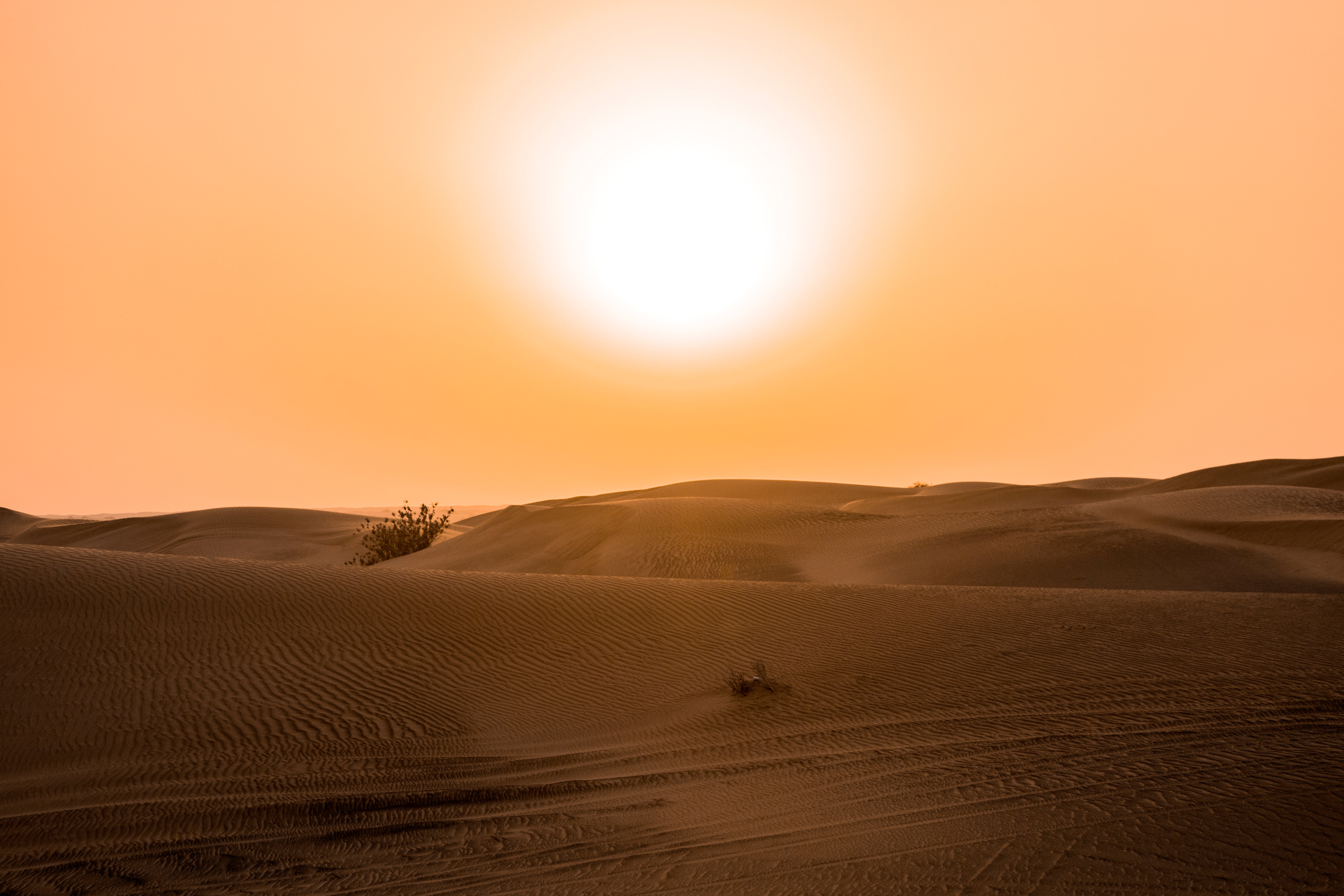 desert-under-yellow-sunset-712392.jpg
