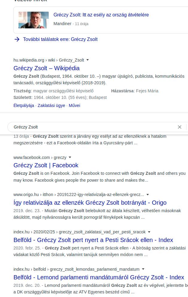 greczy_zsolt_google-kereses.jpg