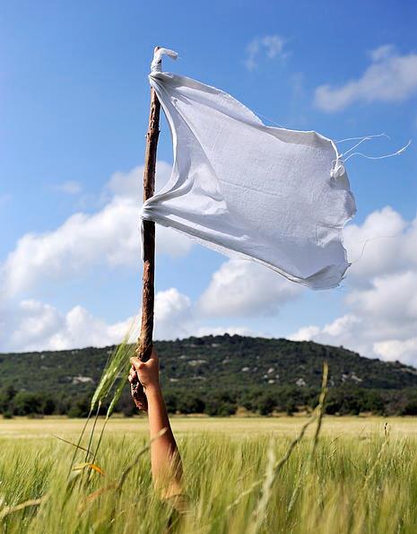 holding-white-flag-sami-sarkis.jpg