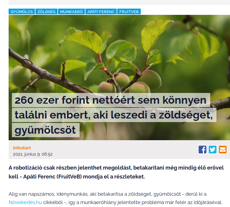 nem_talalni_embert_aki_leszedi_a_zoldseget_gyumolcsot.png