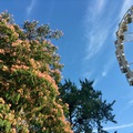 Budapest Eye - Élménybeszámoló