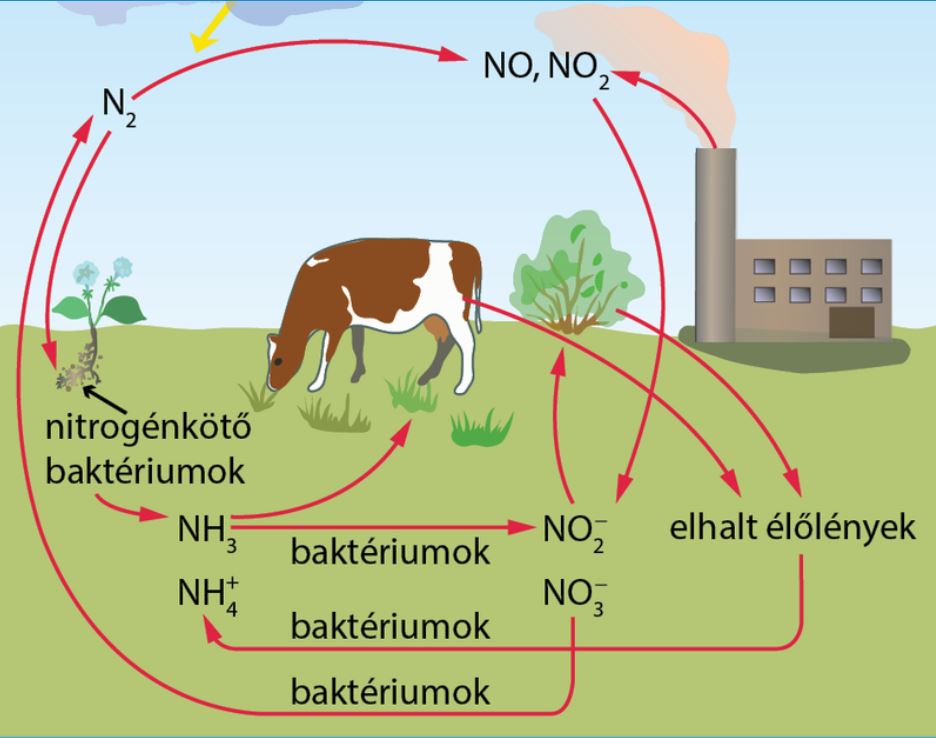 nitrogen_korforgasa.JPG