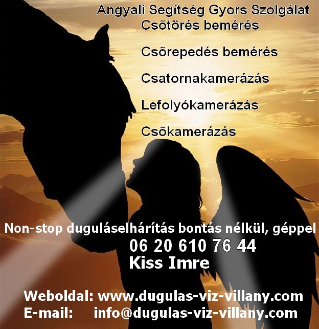 angyali_logo.jpg