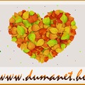Novemberben is DUMANET!