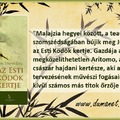 DumaNet könyvajánló novemberben!