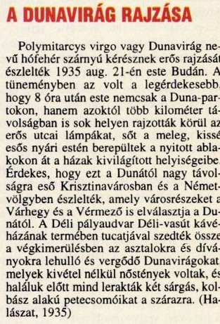magyarhorgasz_1998_pages40-40.jpg