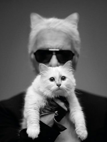 lagerfeld