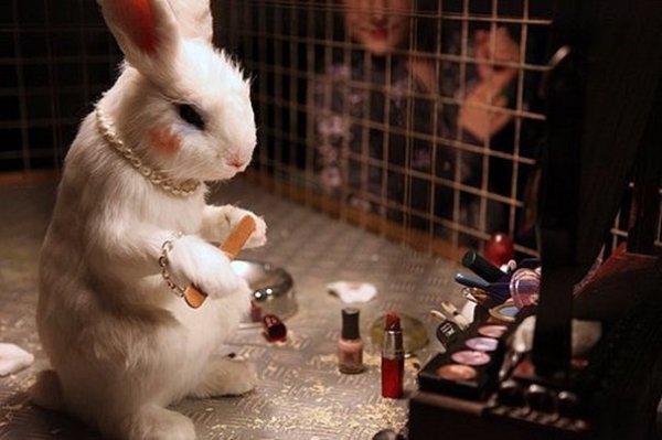 banksy_museum_cosmetics