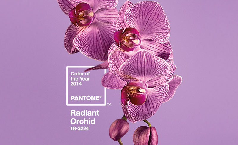 pantone-color-of-the-year-2014-radiant-orchid.jpg