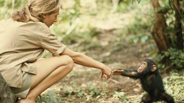 Jane Goodallal találkoztam