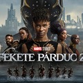 Fekete Párduc 2. (Black Panther: Wakanda Forever) - 2. magyar előzetes + plakát