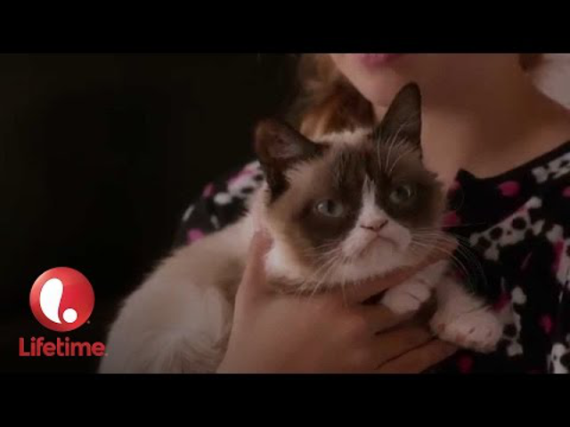 Grumpy Cat’s Worst Christmas Ever - trailer