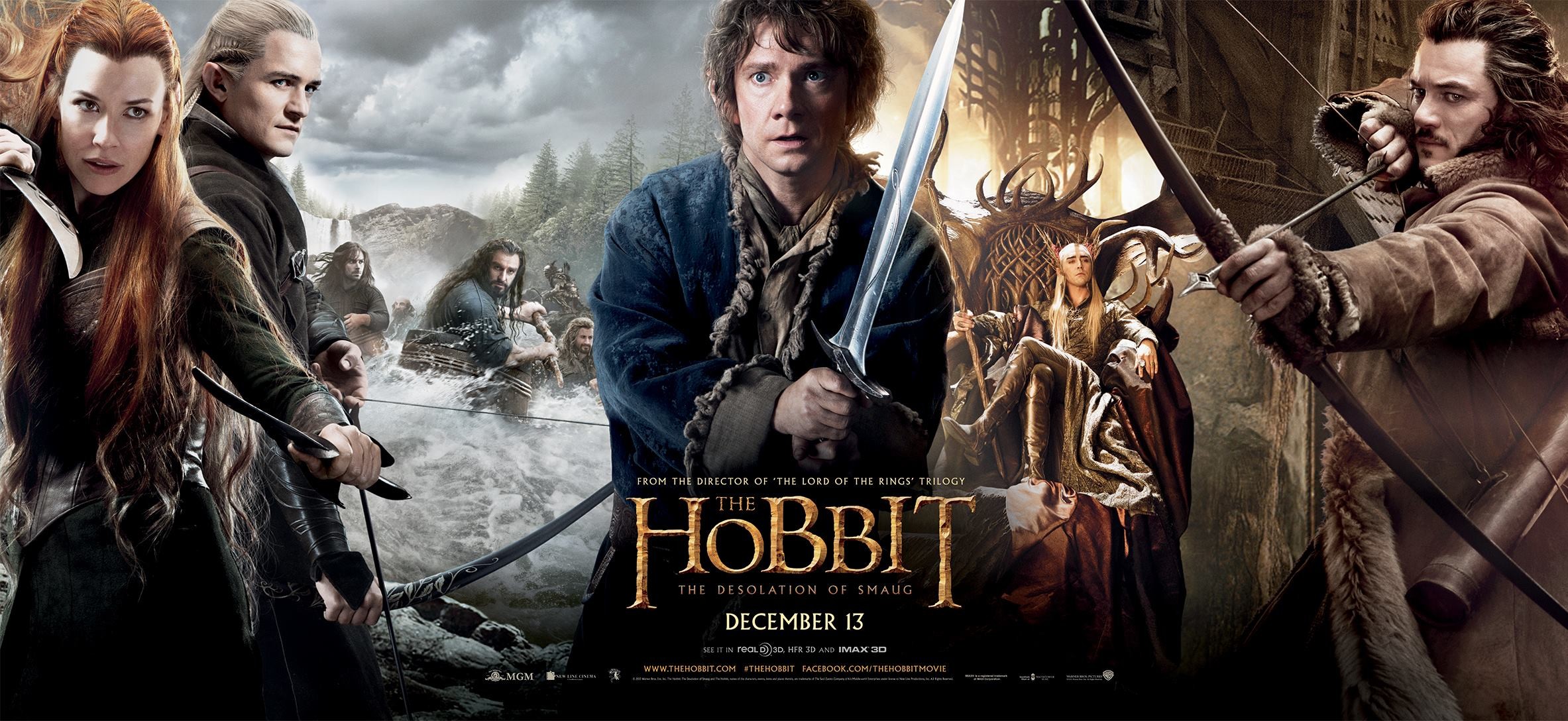 hobbit_the_desolation_of_smaug_ver22_xxlg.jpg