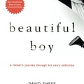 David Sheff: Csodálatos fiú - Beautiful Boy