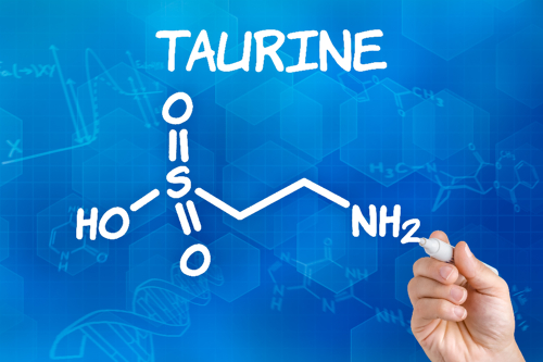 Tudományos rovat: A taurin hatása az edzésteljesítményre