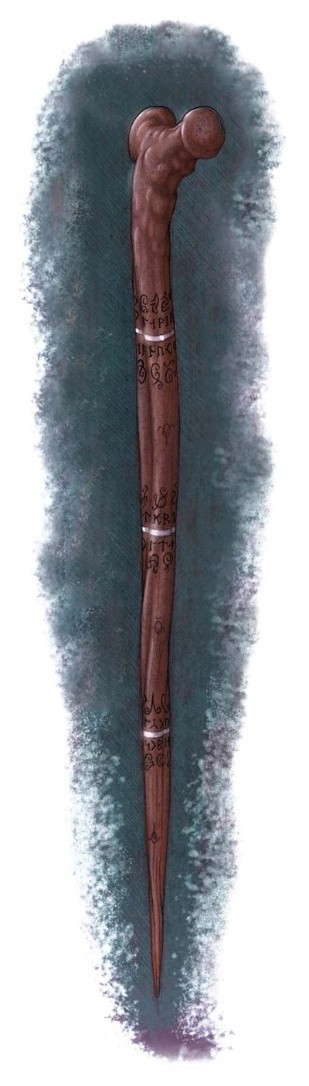 Sanki's staff.jpg