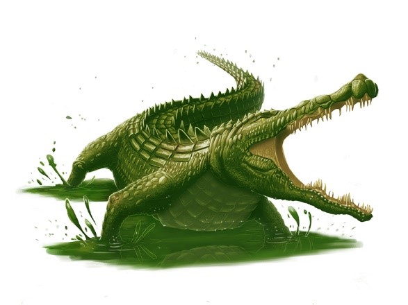 croc.jpg