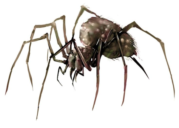 phasespider.png