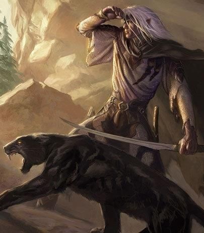 drizzt.jpg