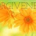 Be brave to forgive, to your soul heal!