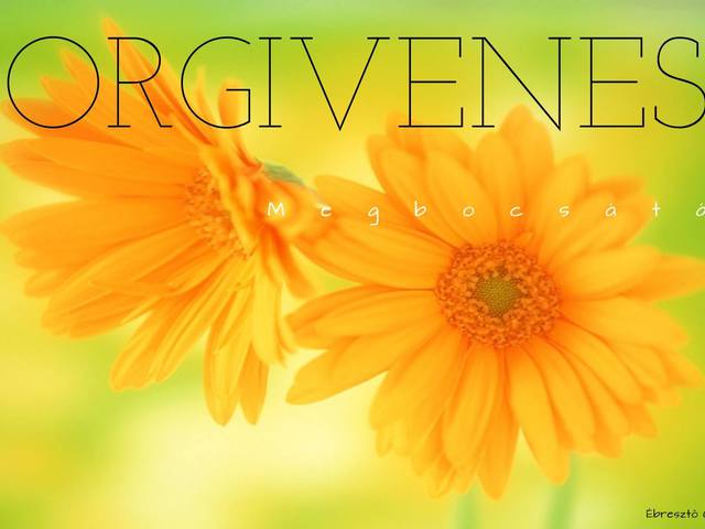 Be brave to forgive, to your soul heal!