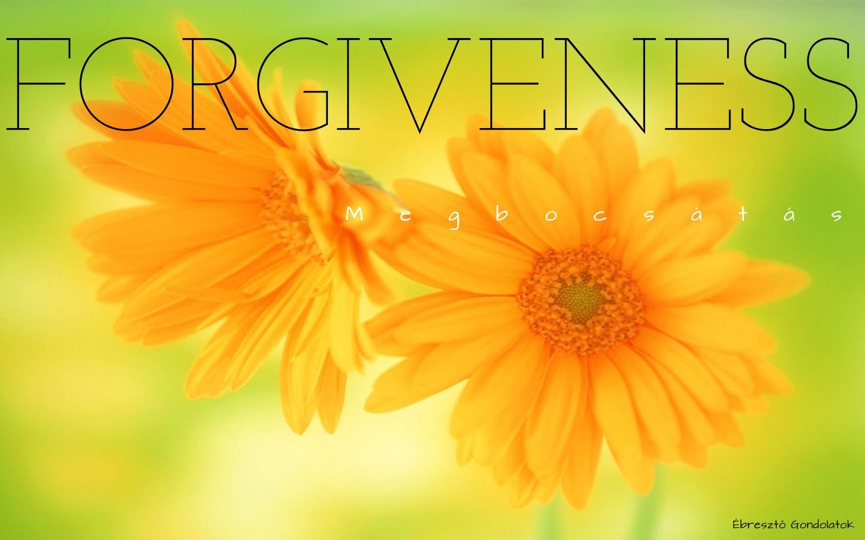 forgiveness.jpg